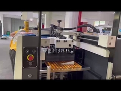 UV 라크 머신-FHSGJ 시리즈