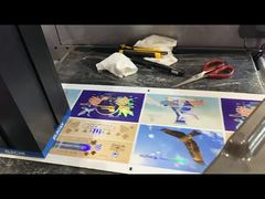 롤 로 롤 포일 스탬핑 및 라킹 머신 디지털 라벨 강화 프린터