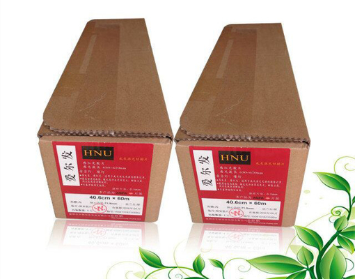Agfa Hns HS 그래피 아트 이미지 세팅 필름 오프셋 인쇄