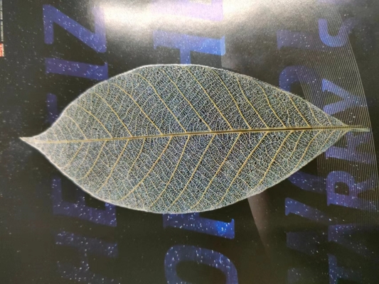 590x760 디지털 UV 스팟 라크 코팅 및 엽기 기계