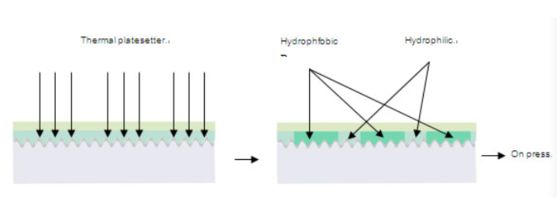 열 네거티브 무현상 CTP 판 0.30mm 10만 인쇄