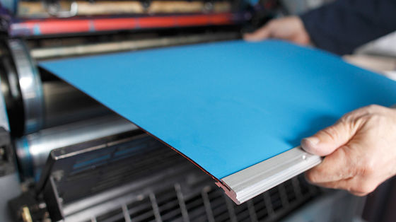 3 층 구성은 포괄적 극소 땅을 출력하여 충돌 벌충을 누릅니다